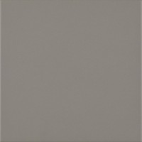 Bazo Grys Monocolor 19,8x19,8 gres padlólap