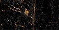 Golden Black High Glossy 60x120 magasfényű falburkolat Golden Black High Glossy 60x120 magasfényű falburkolat